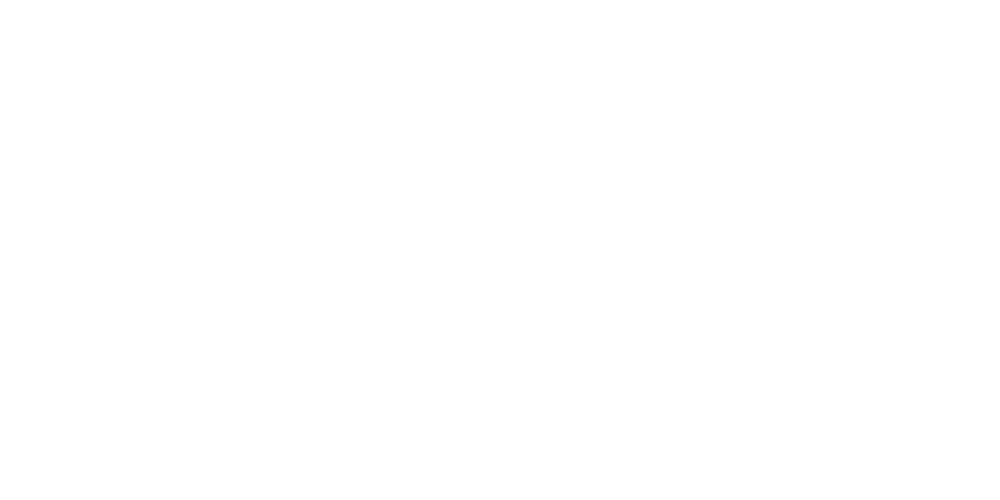 stan logo white